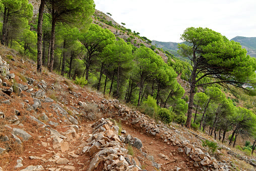 Sierra de Mijas sendero ruta